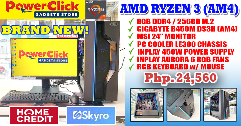 AMD RYZEN 3 - LE300